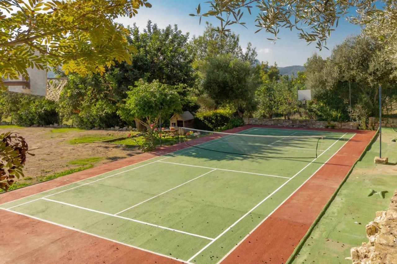 Es Serval :) Relax And Sports Alcudia  Exteriör bild